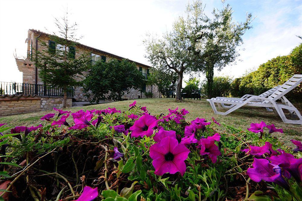 Colle Degli Olivi Snc Casa rural