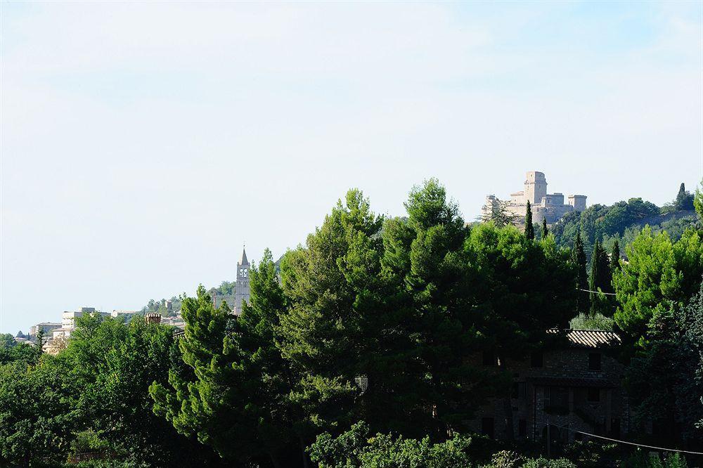 Colle Degli Olivi Snc