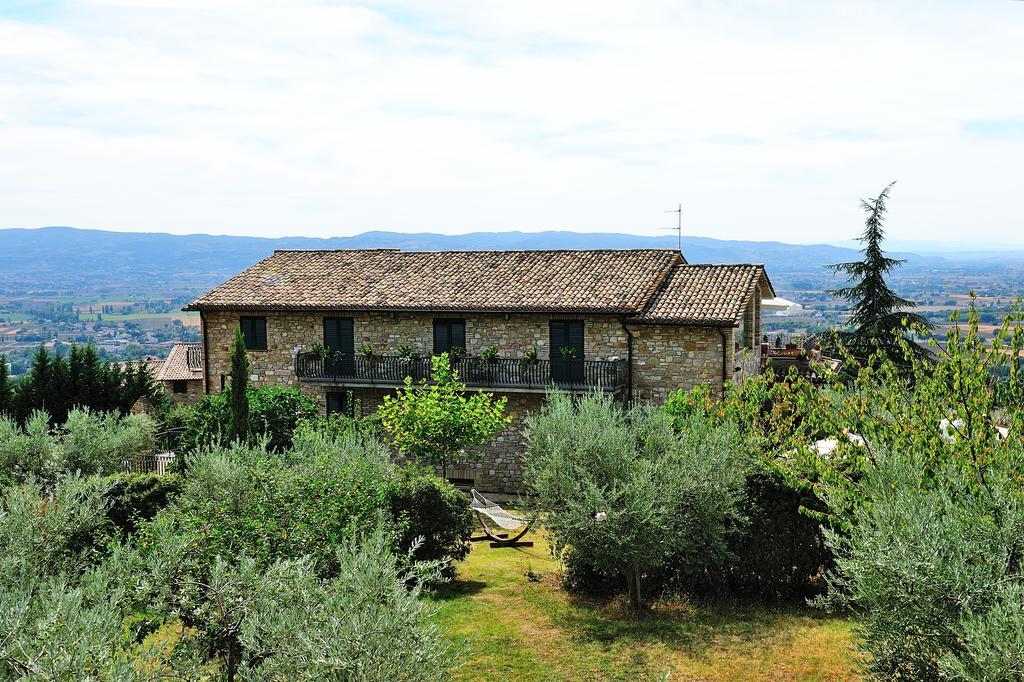 Casa rural Colle Degli Olivi Snc Asís